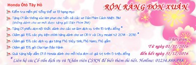 CHƯƠNG TRÌNH KHUYẾN MẠI “RỘN RÀNG ĐÓN XUÂN”